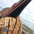 Northwest Coast native North American art, buy Canadian First Nations art direct from artist, authentic, Indigenous wooden hand carved mask