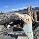 Authentic Northwest Coast native art direct from artist, Native American Indigenous art, Canada, buy local Canadian art, handmade, authentic