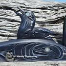 Northwest Coast native American art, authentic Indigenous wooden art carving from Vancouver Island, Canada