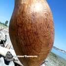 Native American art from the Pacific Northwest Canada, buy local Canadian Indigenous art, direct from artist