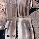ancient wood