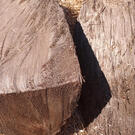 the log after splitting