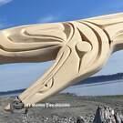 Northwest Coast, native American, Indigenous art from Canada, authentic and direct from artist